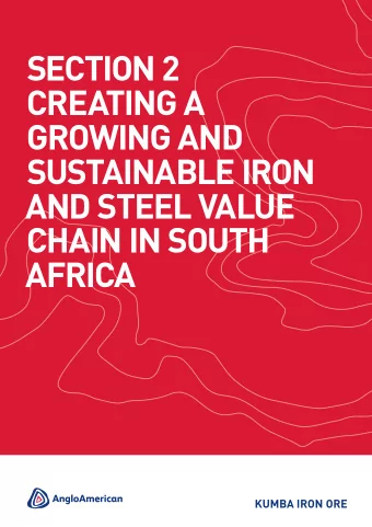 SECTION 2  CREATING A  GROwING ANd  SuSTAINAblE IRON  ANd STEEl vAluE  ChAIN IN SOuTh  AfRICA
