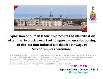 Expression of human H ferritin prompts the identification  of a hitherto elusive yeast orthologue