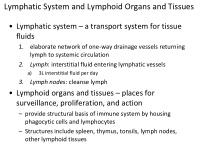 lymphatic system and lymphoid organs and tissues