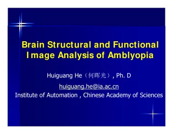 Brain Structural and Functional  I mage Analysis of Amblyopia Huiguang He  , Ph. D