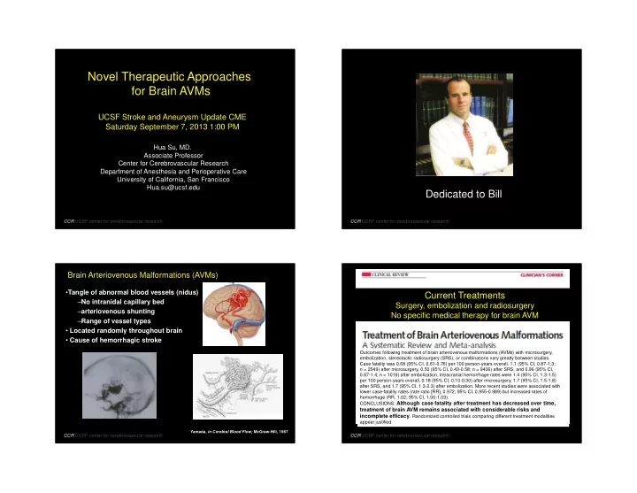 novel therapeutic approaches for brain avms