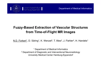 Fuzzy-Based Extraction of Vascular Structures  from Time-of-Flight MR Images N.D. Forkert 1 , D.