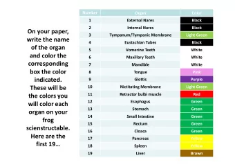 On your paper,  3  Tympanum/Tympanic Membrane  Light Green  write the name  4  Eustachian Tubes