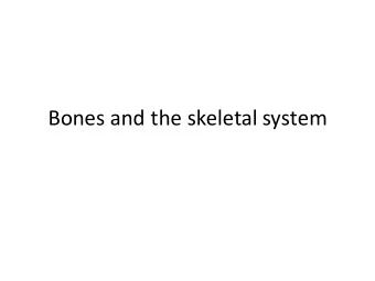 Bones and the skeletal system  I. Bone Functions  A.  Support  B.  Protection-skull, vertebral