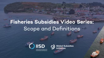 Main approaches  Scope and  Definitions    The agreement would apply to Subsidies as