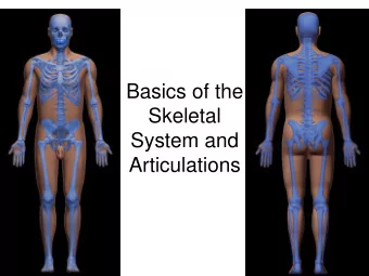 Basics of the  Skeletal  System and  Articulations  Learn and Understand  Skeleton is more than