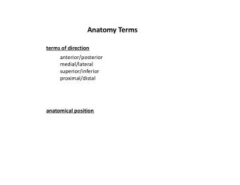 Anatomy Terms  terms of direction  anterior/posterior  medial/lateral  superior/inferior