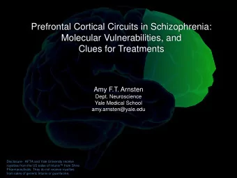 Molecular Vulnerabilities, and  Clues for Treatments  Amy F.T. Arnsten  Dept. Neuroscience  Yale