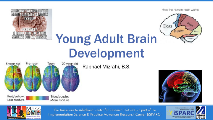 young adult brain development