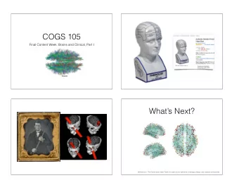 COGS 105  Final Content Week: Brains and Clinical, Part I  wikipedia  Whats Next?  Gerhard et