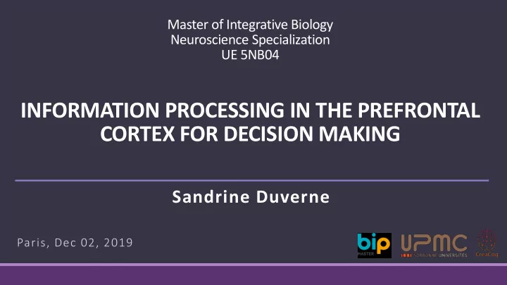 cortex for decision making