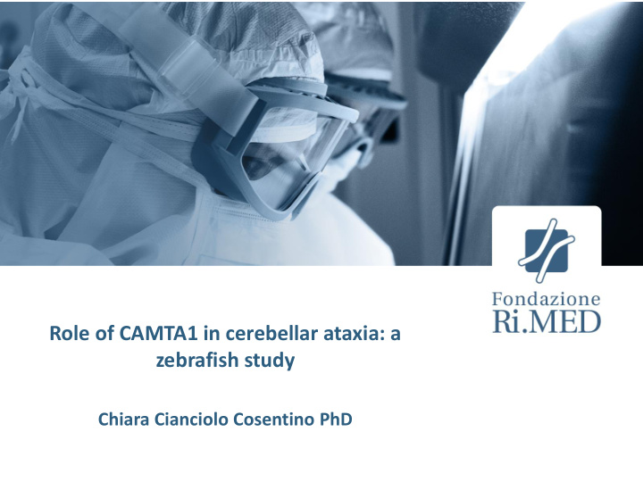role of camta1 in cerebellar ataxia a zebrafish study