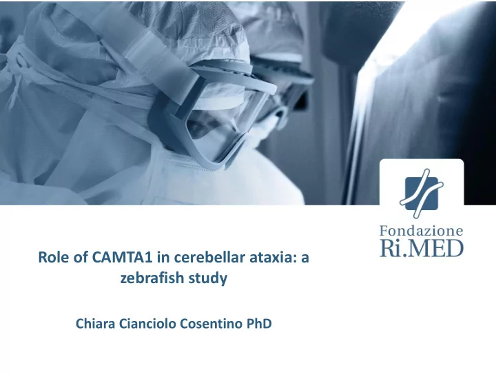 role of camta1 in cerebellar ataxia a zebrafish study