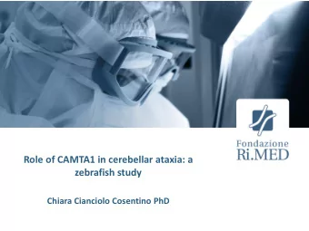 Role of CAMTA1 in cerebellar ataxia: a  zebrafish study  Chiara Cianciolo Cosentino PhD  CAMTA