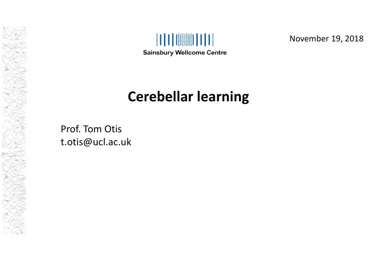 cerebellar learning