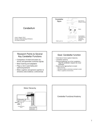 Cerebellum  Ataxia  Incoordination/  rapid alternating  John H. Martin, Ph.D.  movements  Center