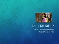 skill memory