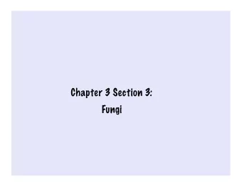 Chapter 3 Section 3:  Fungi  Today's Objectives  After completing this lesson you will be able to: