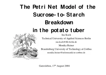 The Petri Net Model of  the  Sucrose- to- Starch  Breakdown  in the potato tuber  Ina Koch
