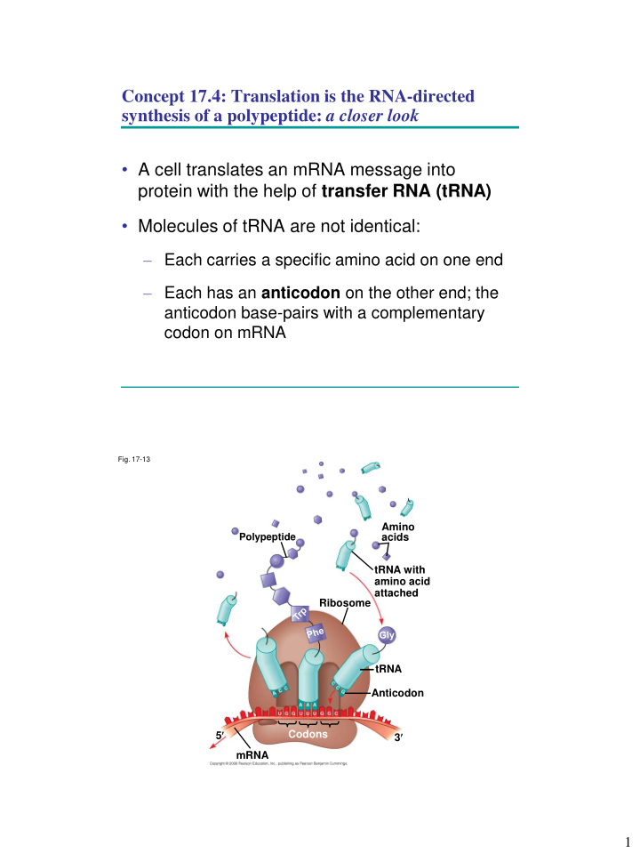 concept 17 4 translation is the rna directed synthesis of