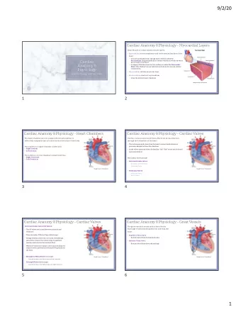 9/2/20  Cardiac Anatomy &amp; Physiology  Myocardial Layers  Heart Muscle is compromised of