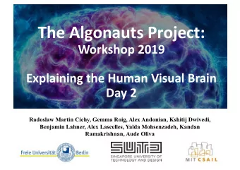 The Algonauts Project:  Workshop 2019  Explaining the Human Visual Brain  Day 2  Radoslaw Martin