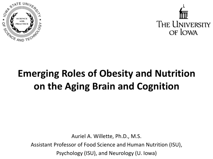 emerging roles of obesity and nutrition on the aging