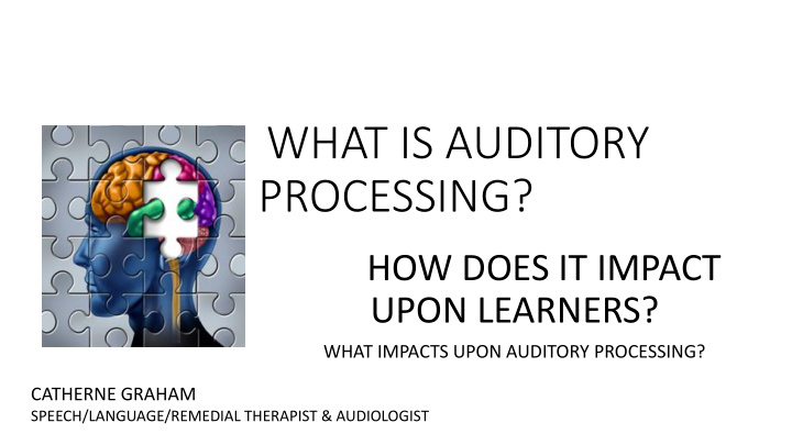 what is auditory