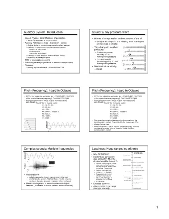1  Timing: Used to locate sound sources  Auditory System: Demands   Frequency (logarithmic,