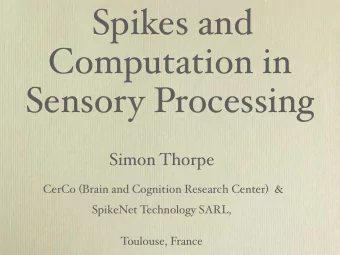 Spikes and  Computation in  Sensory Processing  Simon Thorpe CerCo ( Brain and Cognition Research