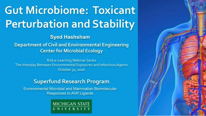 gut microbiome toxicant perturbation and stability
