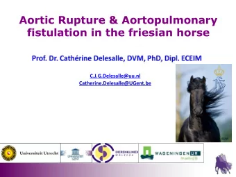 Aortic Rupture &amp; Aortopulmonary fistulation in the friesian horse  C.J.G.Delesalle@uu.nl