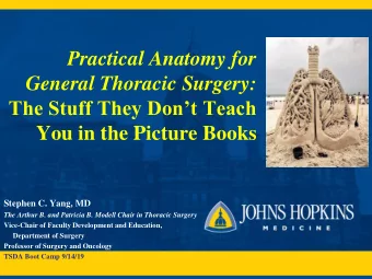 You in the Picture Books  Stephen C. Yang, MD  The Arthur B. and Patricia B. Modell Chair in