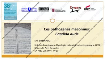 Candida auris  Eric DANNAOUI  Unit de Parasitologie-Mycologie, Laboratoire de microbiologie, HEGP