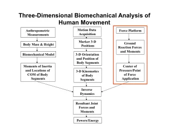 Three-Dimensional Biomechanical Analysis of  Human Movement  Motion Data  Anthropometric  Force
