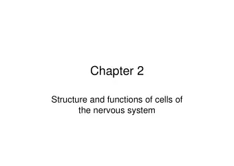 Chapter 2  Structure and functions of cells of  the nervous system  Cell    Organelles