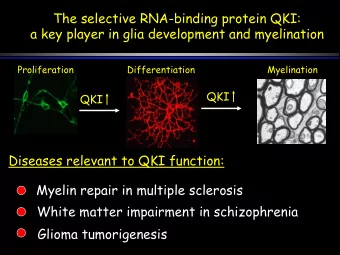 The selective RNA-binding protein QKI:  a key player in glia development and myelination
