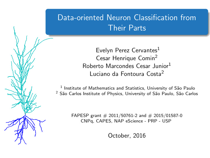 data oriented neuron classification from their parts