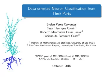 Data-oriented Neuron Classification from  Their Parts Evelyn Perez Cervantes 1 Cesar Henrique Comin