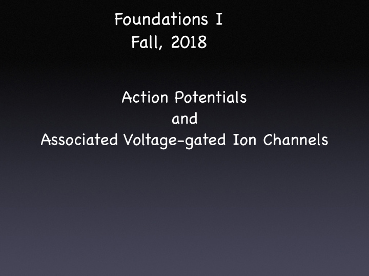 foundations i fall 2018