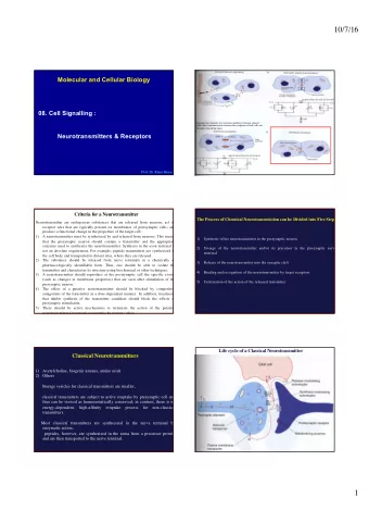 10/7/16  Molecular and Cellular Biology  (equivalent electrical circuit)  08. Cell Signalling :