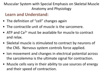 Learn and Understand:   The definition of cell changes again  The contractile unit of