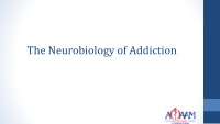 the neurobiology of addiction addiction