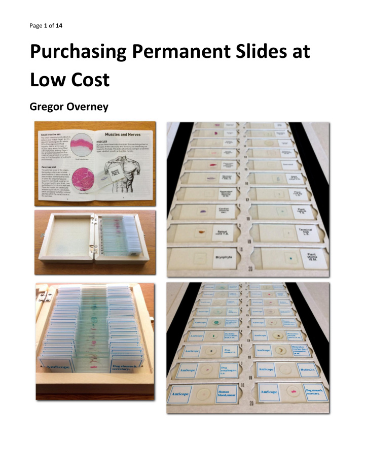 purchasing permanent slides at low cost