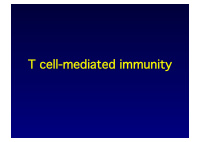 t cell mediated immunity