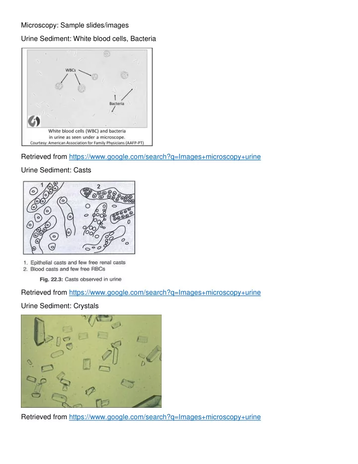 microscopy sample slides images urine sediment white