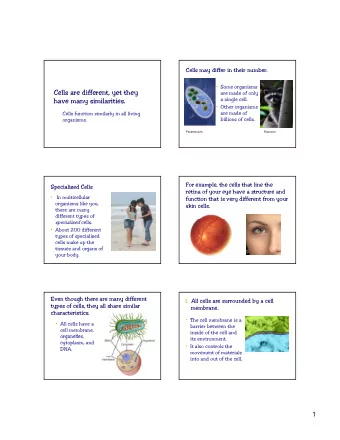 Cells are different, yet they  are made of only  a single cell.  have many similarities.  y