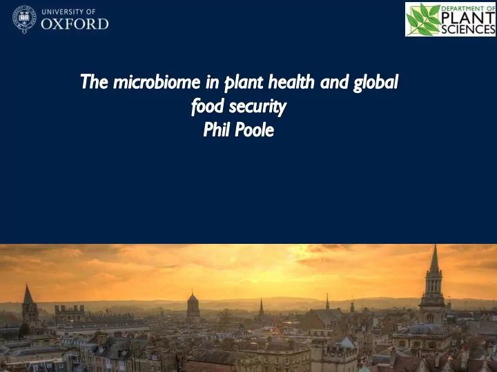 soil rhizosphere microorganisms are responsible for most