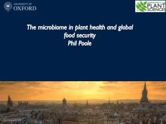 Soil/Rhizosphere  Microorganisms are responsible for most nutrient  transformation in soil.