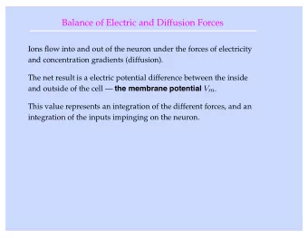 Balance of Electric and Diffusion Forces  Ions flow into and out of the neuron under the forces of